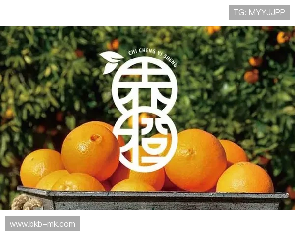 行业构建版权内容保护机制,保障品牌传播价值 行业构建版权内容保护机制,保障品牌传播价值